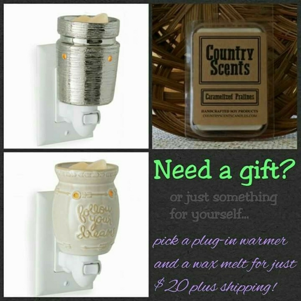 Pluggable warmers & wax tarts